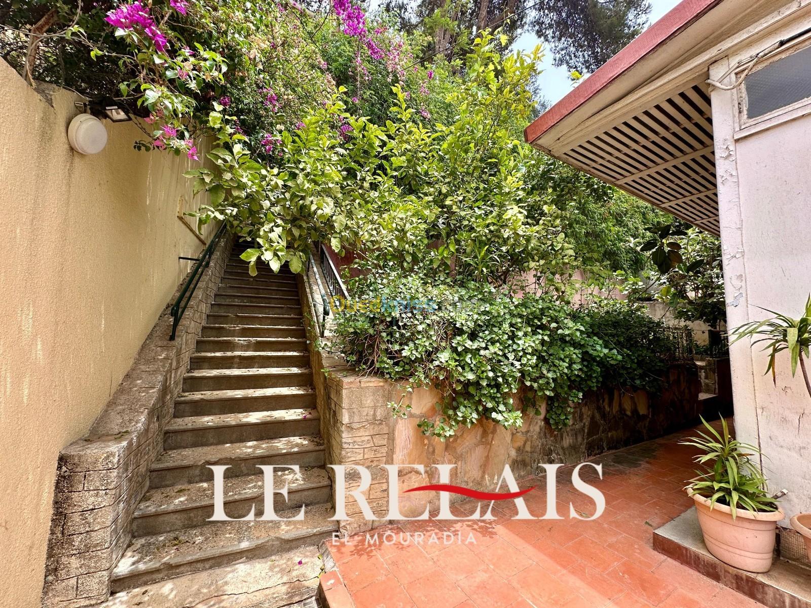 Rent Apartment F3 Alger El mouradia