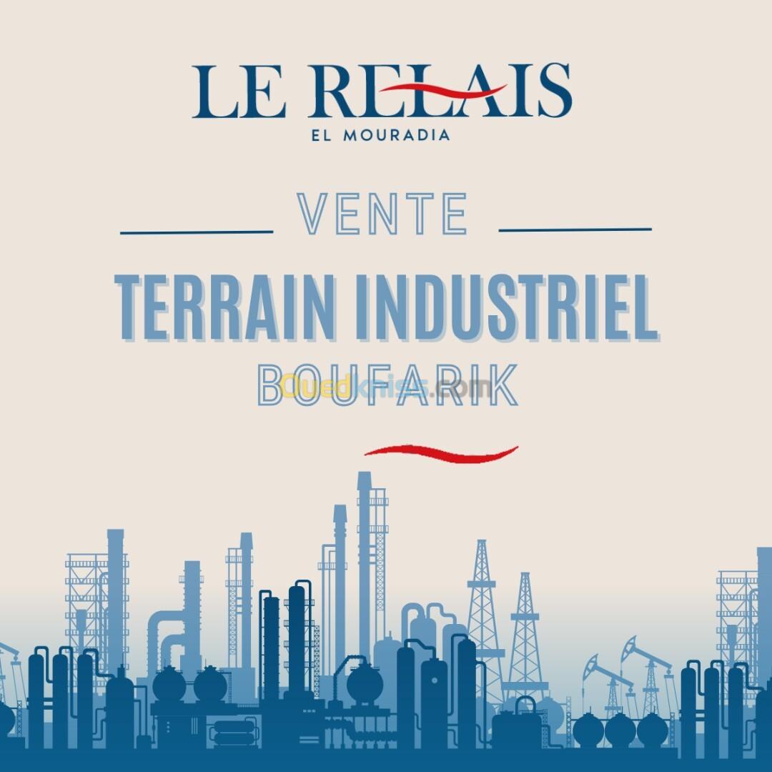 Sell Land Blida Boufarik