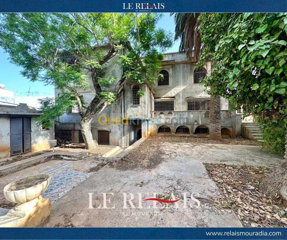 Rent Villa Alger Hydra