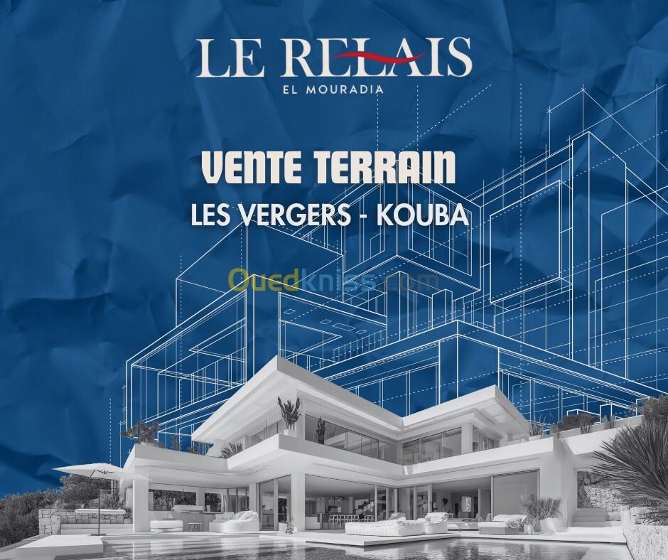 Sell Land Alger Kouba